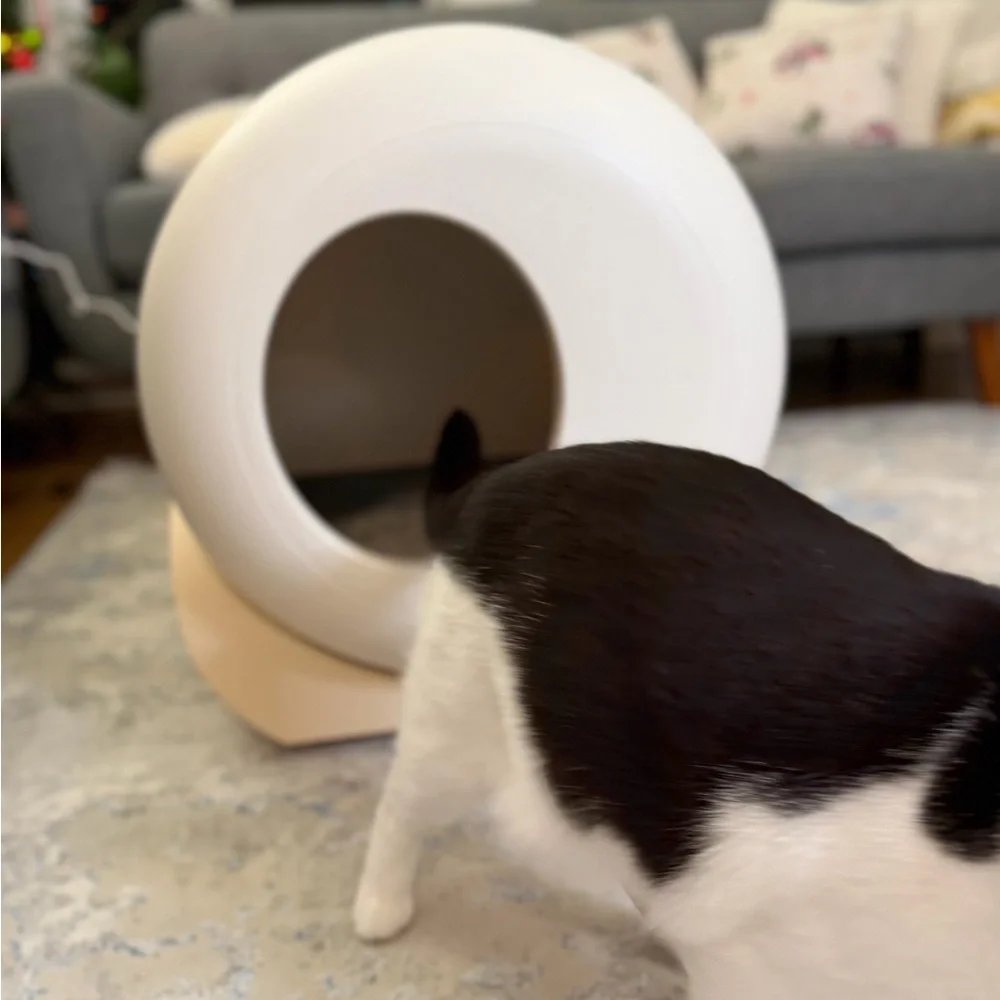 Modern White Cat Litter Box
